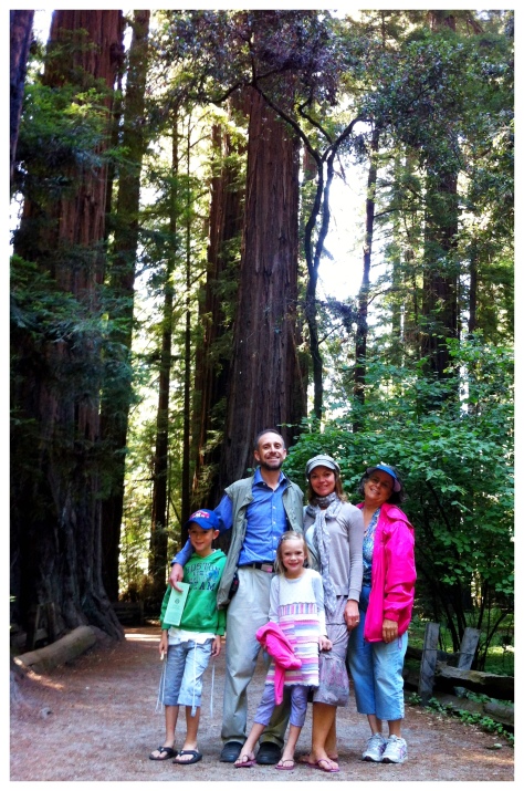 redwoods family photo